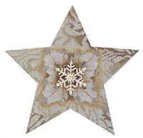 Snowflake Star 110b