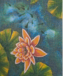 Orange Water Lily