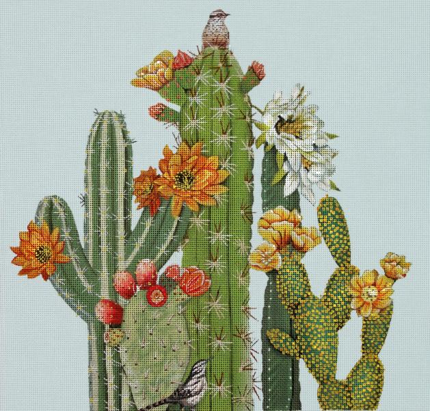 Cactus and Birds MLT670