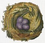 Nest With Purple Eggs 2072