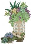 Succulent Boot MLT328