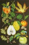 Autumn Fruit MLT467