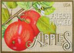 Apples MLT501-A