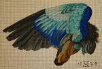 Durer Wing 2195