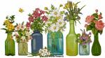 Bottle Bouquets MLT196