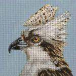 Shelby - Osprey VS140