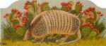 Armadillo Purse 1243