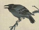 Koson Crow 1950