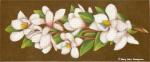 Magnolias MLT298