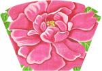 Hot Pink Peony 1393-C