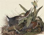 Birds and Luna Moth 2271