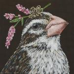 Keturah - Rose Grosbeak VS372