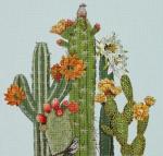 Cactus and Birds MLT670