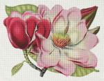 Pink Magnolia 1989