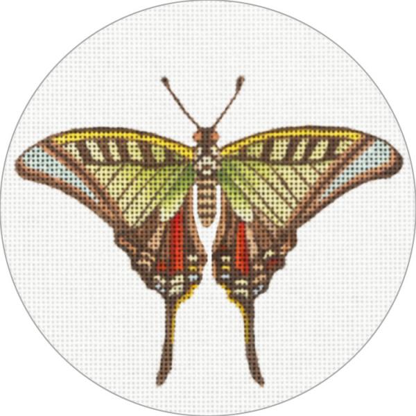 Green and Red Butterfly Ornament MLT746-C