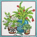 Christmas Cactus MLT464