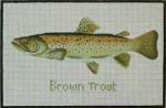 Brown Trout 881-C