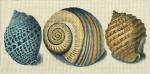 3 Shells - Blue Spots 2142-A