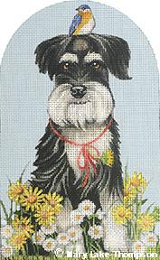 Daisy Schnauzer MLT456