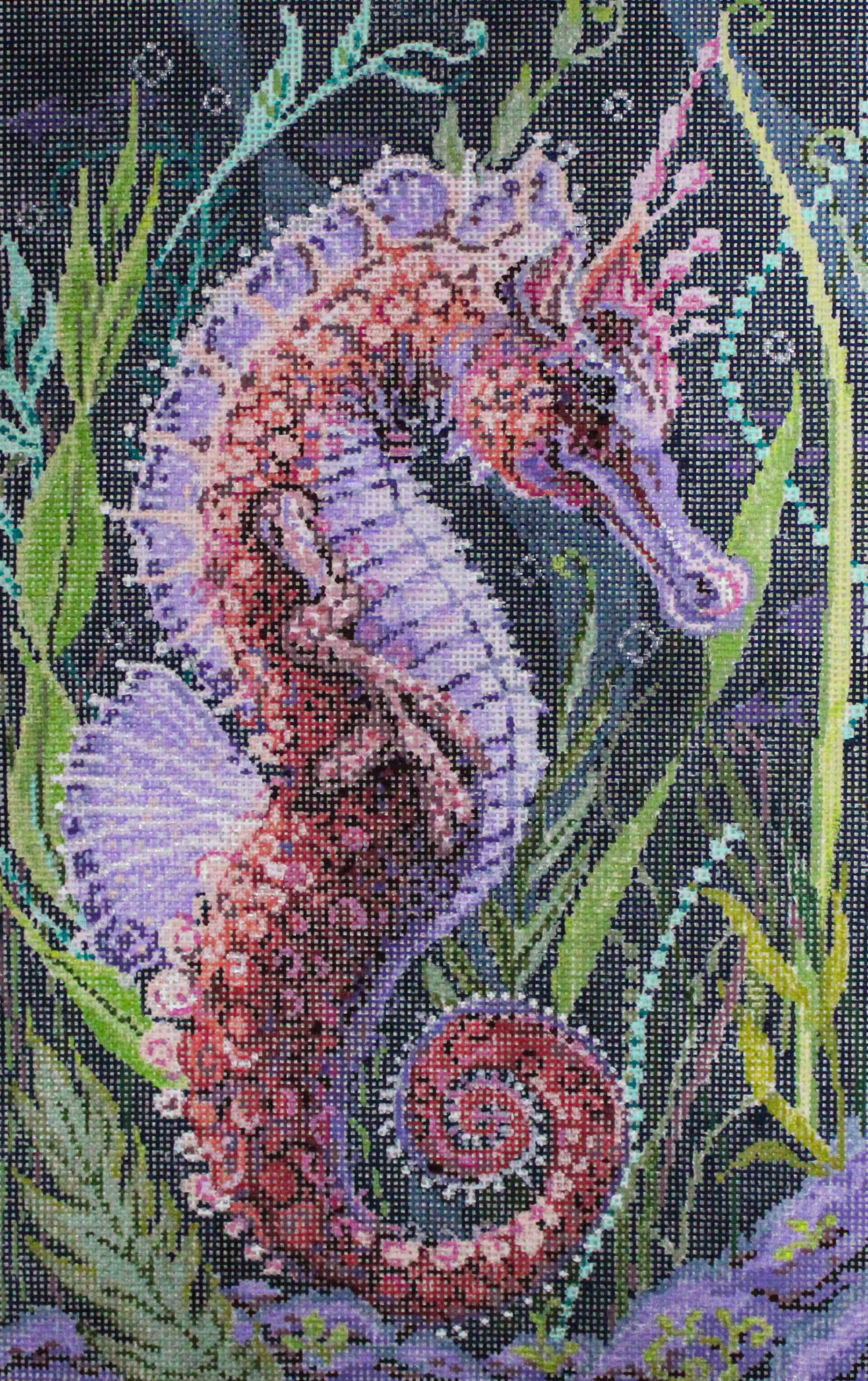 Under the Sea 18-1298
