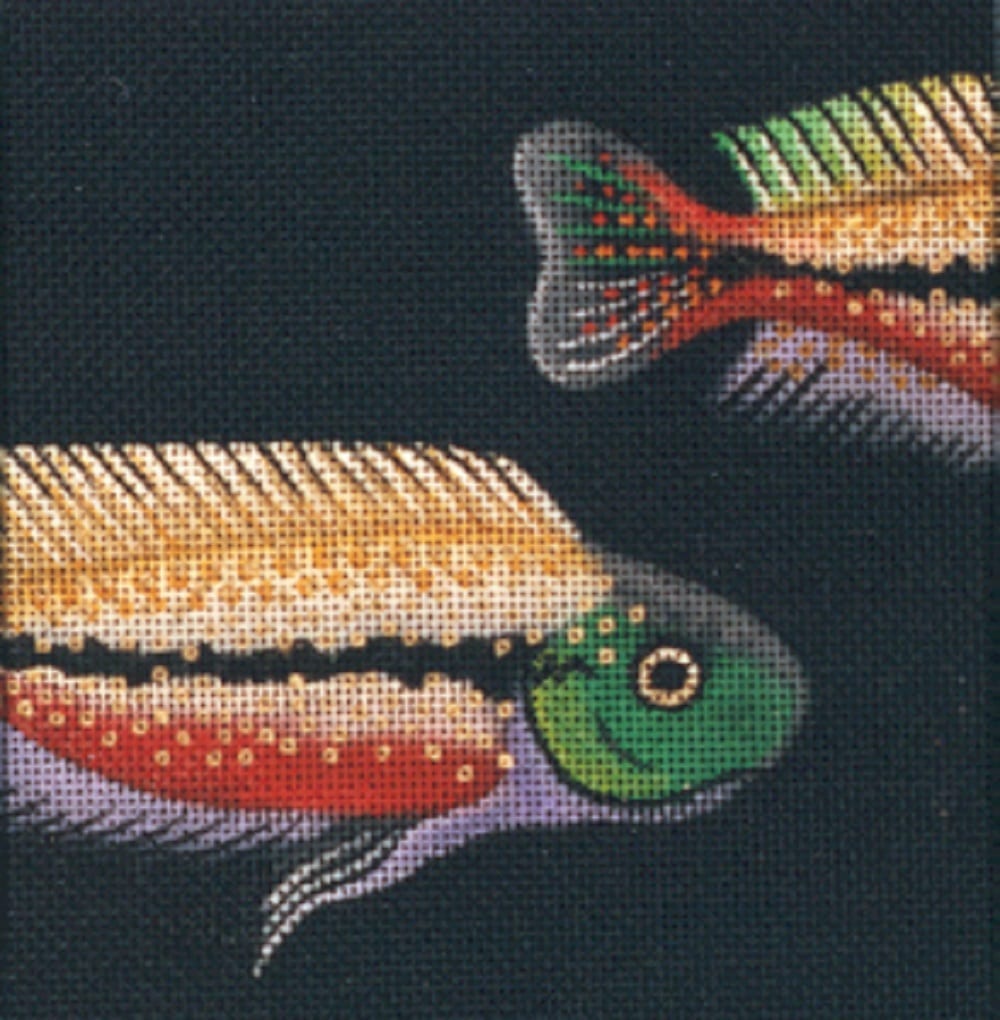 Cichlasoma LD-4305