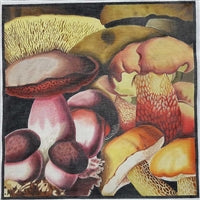 Mushroom Collage #1 432