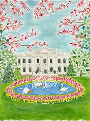 The White House Swan Pond LB-PL-18