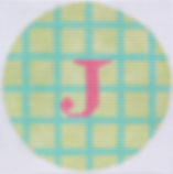 Bright Disk Letter – Celadon & Turquoise Grid, Bright Pink Letter (Specify Letter Or Blank) ALB-08