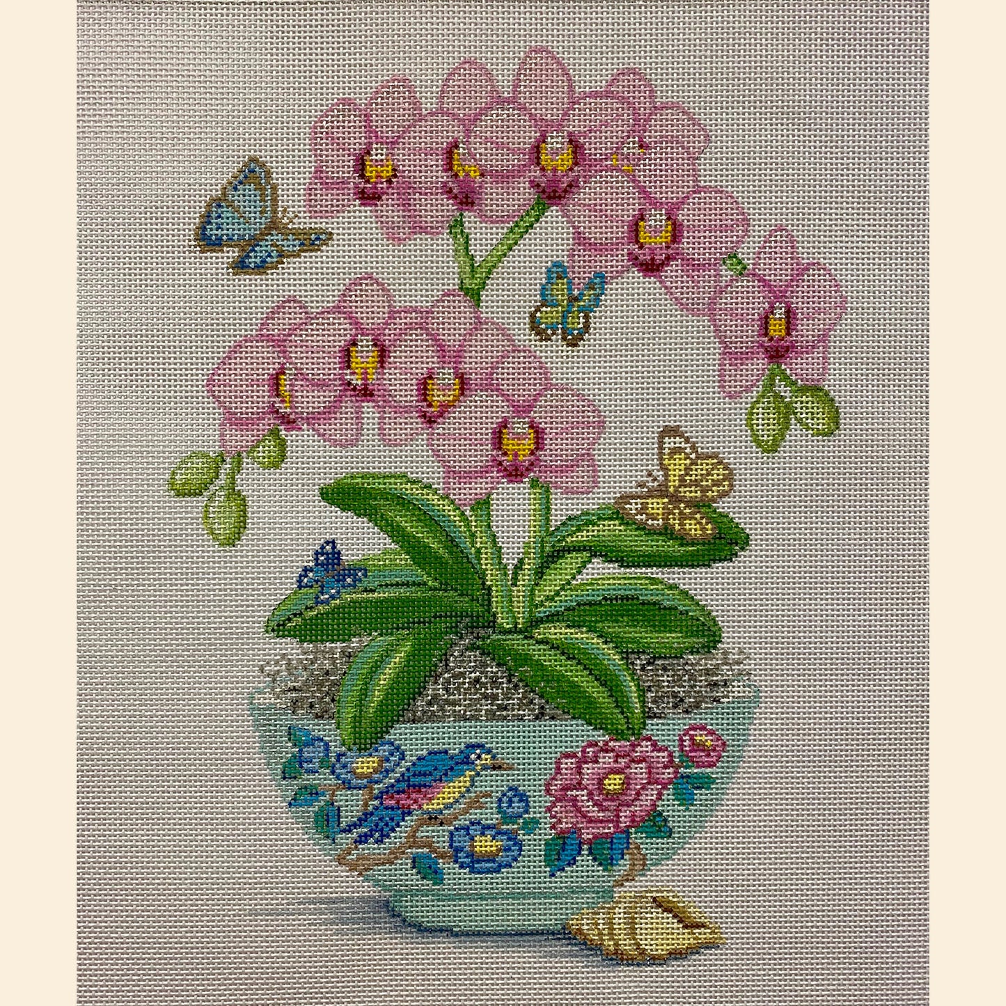 Pink Orchids In Vase 4251