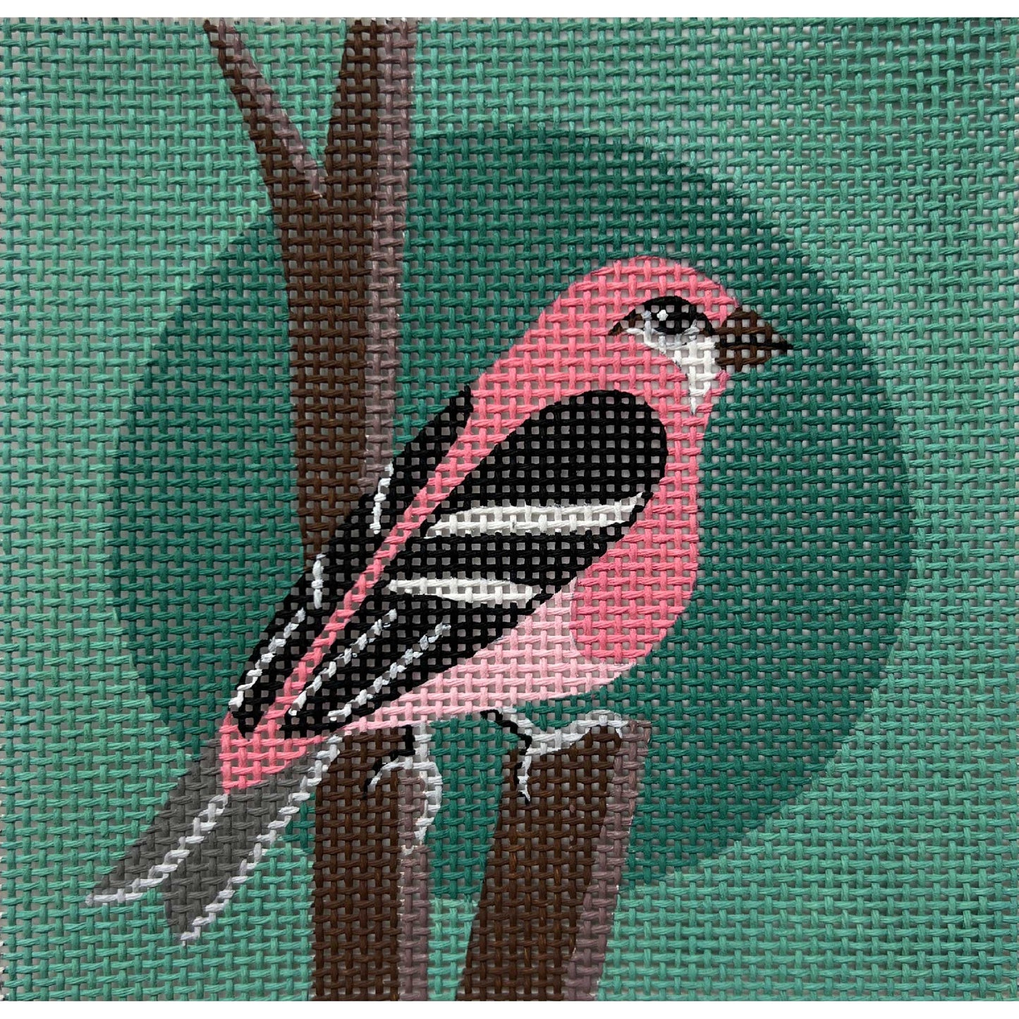 Pink Bird On Teal 4490