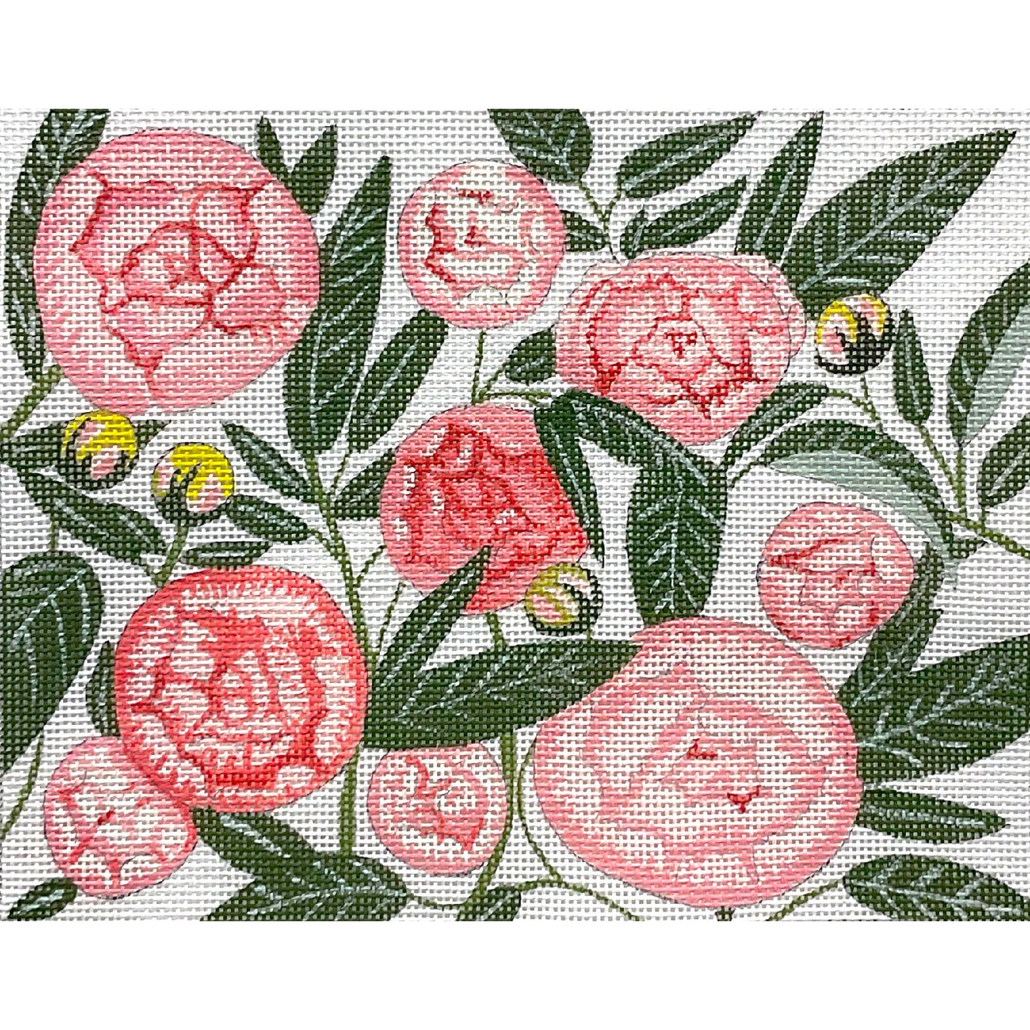 Pink Peonies 4840