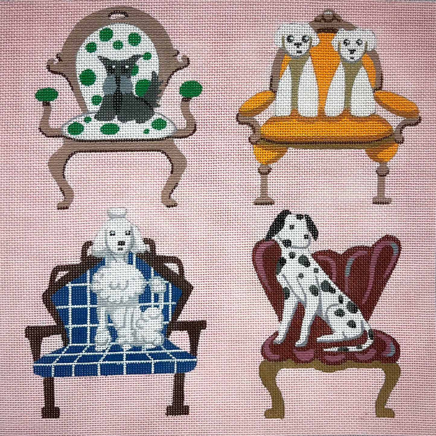 Dogs In Chairs 4909