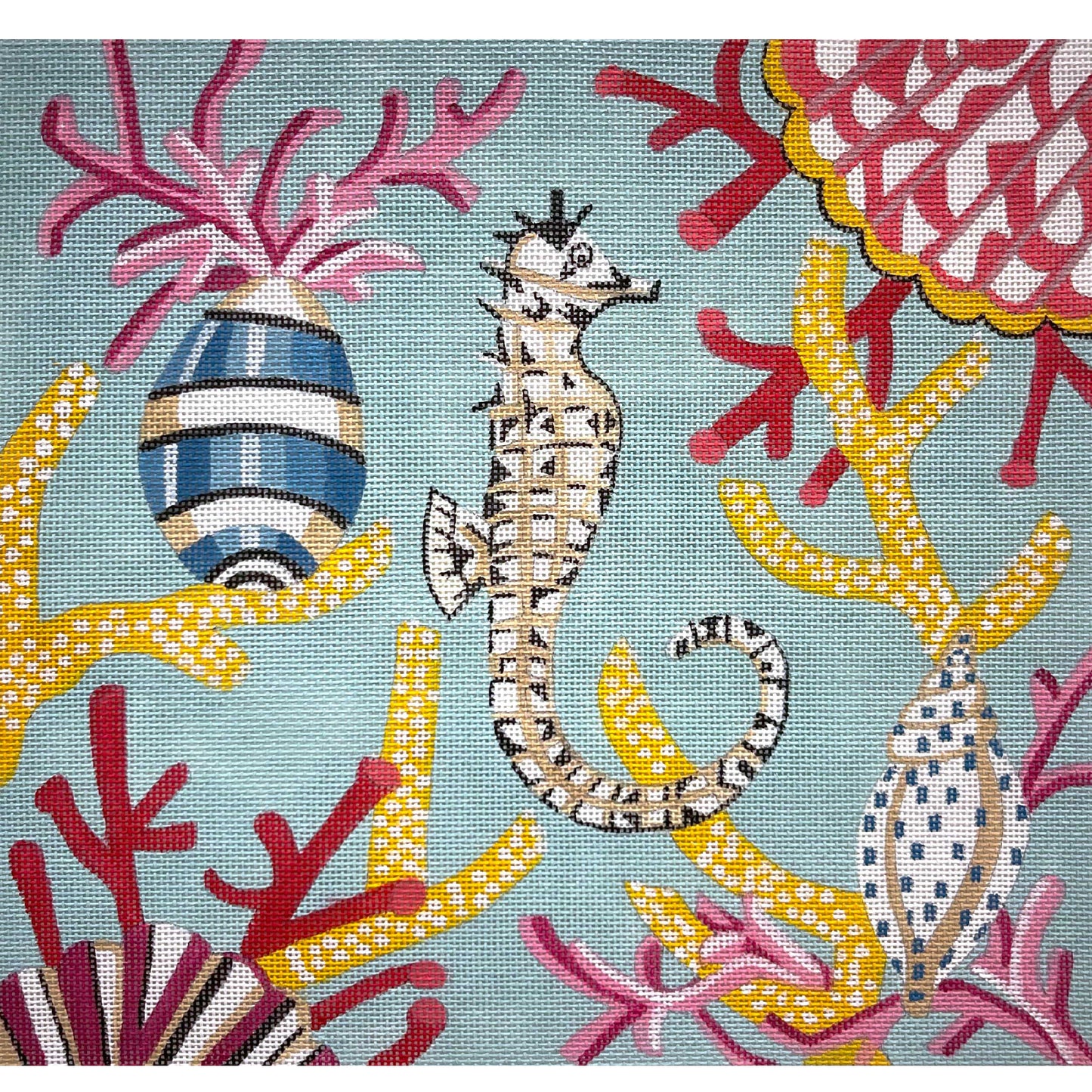 Seahorse And Corals 4931
