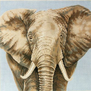 Elephant C-450s