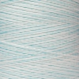 Weeks Dye Works Hand Dyed Cotton Floss 1000 -1199