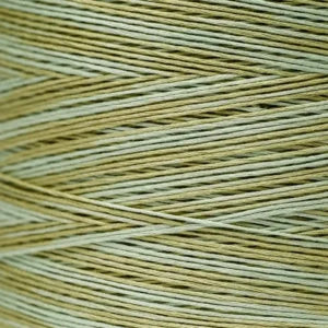 Weeks Dye Works Hand Dyed Cotton Floss 1000 -1199