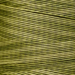Weeks Dye Works Hand Dyed Cotton Floss 1000 -1199