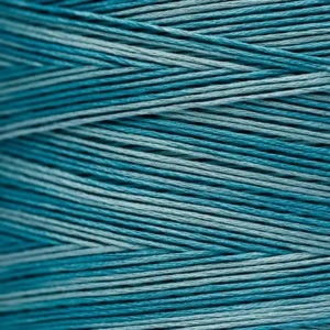 Weeks Dye Works Hand Dyed Cotton Floss 2000 -2149