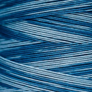 Weeks Dye Works Hand Dyed Cotton Floss 2000 -2149