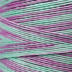 Weeks Dye Works Hand Dyed Cotton Floss 2000 -2149