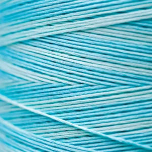 Weeks Dye Works Hand Dyed Cotton Floss 2000 -2149