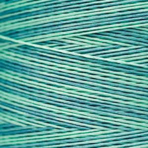 Weeks Dye Works Hand Dyed Cotton Floss 2000 -2149