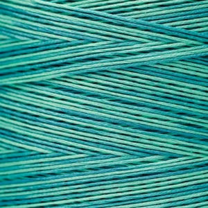 Weeks Dye Works Hand Dyed Cotton Floss 2000 -2149