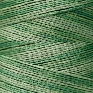 Weeks Dye Works Hand Dyed Cotton Floss 2150 -2249