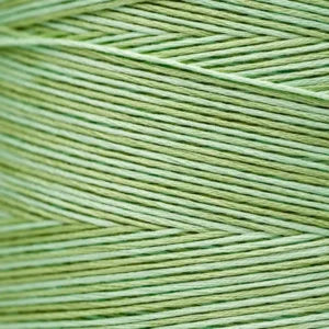 Weeks Dye Works Hand Dyed Cotton Floss 2150 -2249