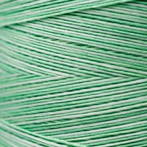 Weeks Dye Works Hand Dyed Cotton Floss 2150 -2249