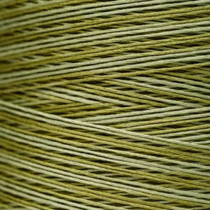 Weeks Dye Works Hand Dyed Cotton Floss 2150 -2249