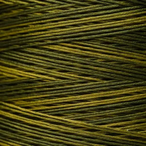Weeks Dye Works Hand Dyed Cotton Floss 2150 -2249