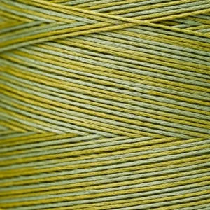 Weeks Dye Works Hand Dyed Cotton Floss 2150 -2249