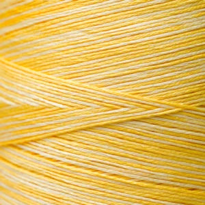 Weeks Dye Works Hand Dyed Cotton Floss 2150 -2249